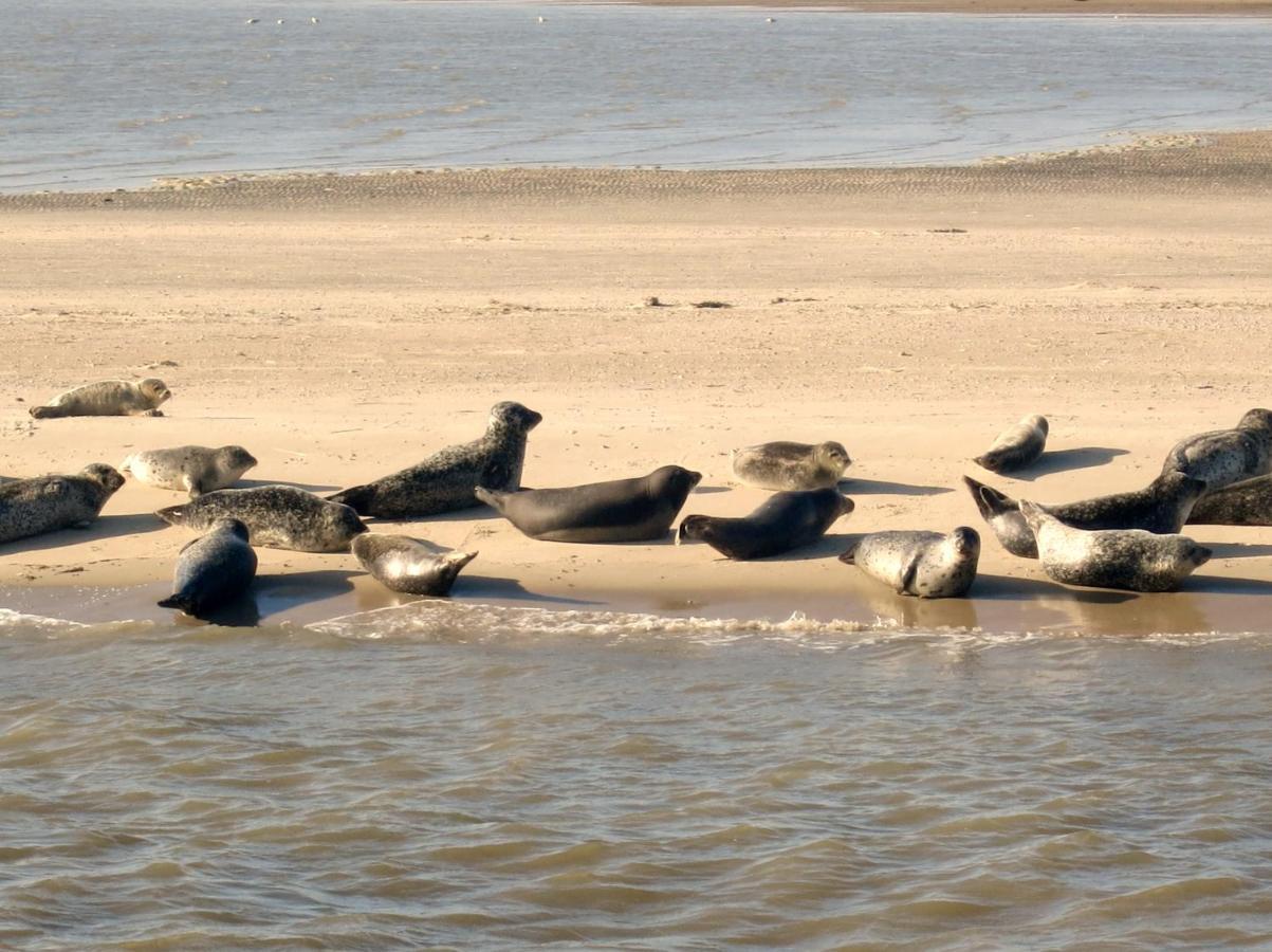 Huus Wattenmeer In Nessmersiel An Der Nordsee Dornum Esterno foto